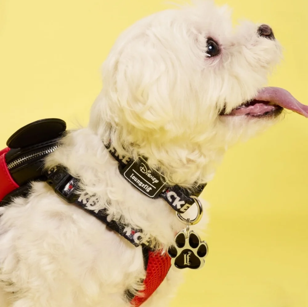 Loungefly Disney's Pets Mickey Mouse Small Black & White Animal Dog Puppy Collar